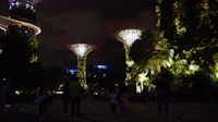 Gardens at Night-13.jpg